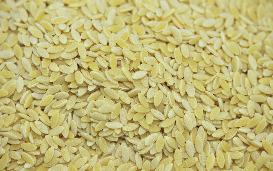 Orzo Pasta