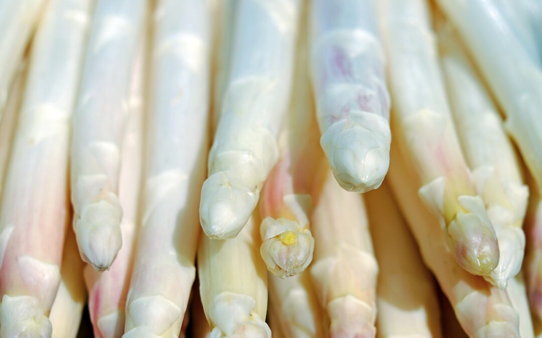 Spargel