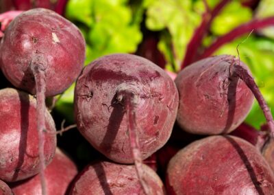 Rote Beete