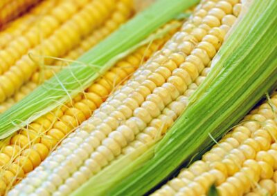 Mais