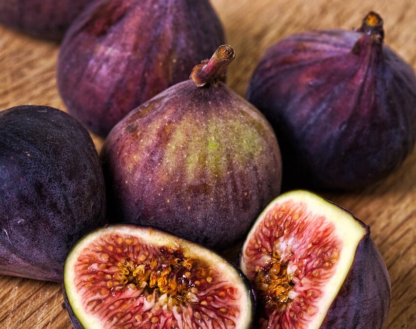 Feigen