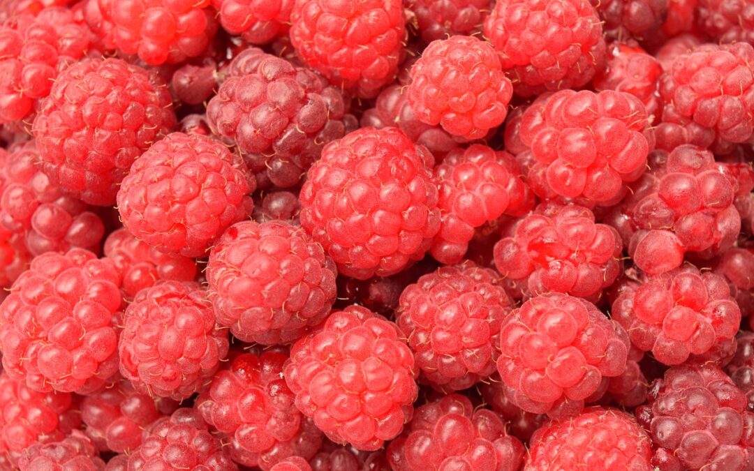 Himbeeren