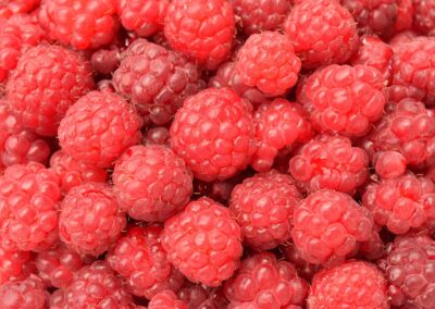 Himbeeren