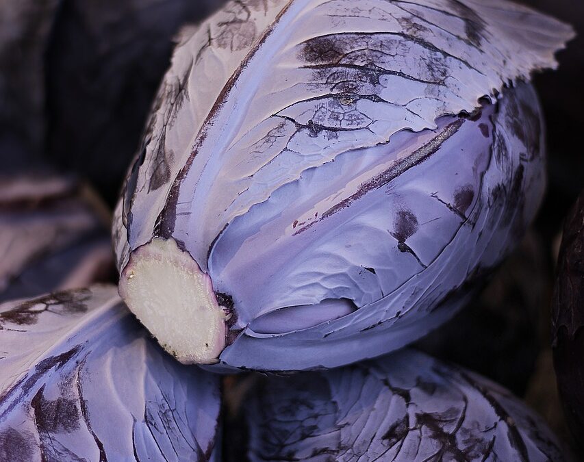 Rotkohl