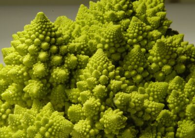 Romanesco
