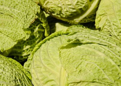 Wirsingkohl
