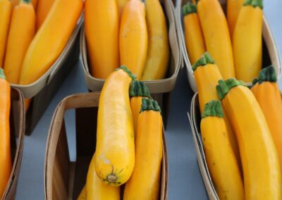 Zucchini (gelb)