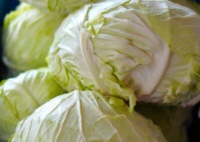 Weißkohl