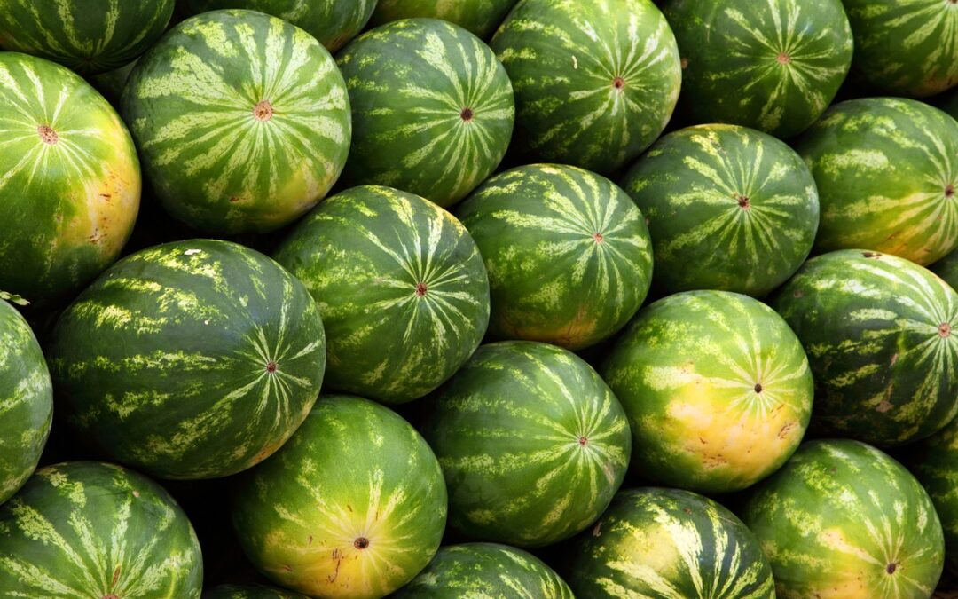 Melonen