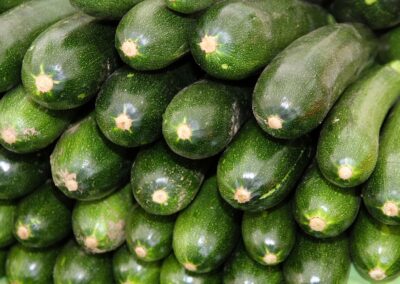 Zucchini (grün)